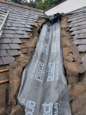 Protect Wunderlay Membranes Roofing