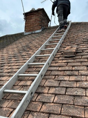 Roof Tile Cleaning