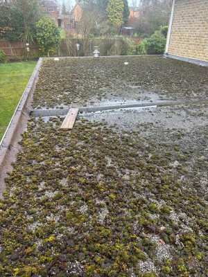 Roofing Moss Cleaning and Removal